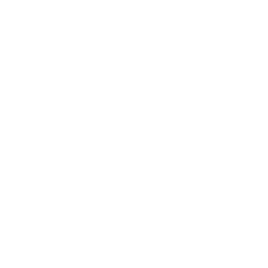 アセット 239