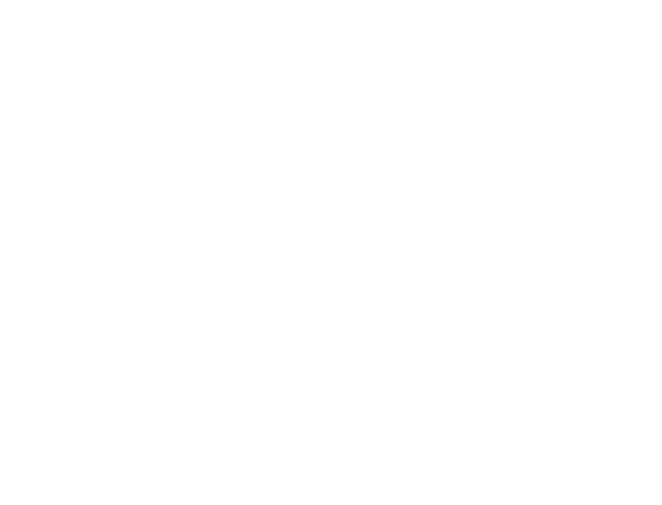 アセット 351